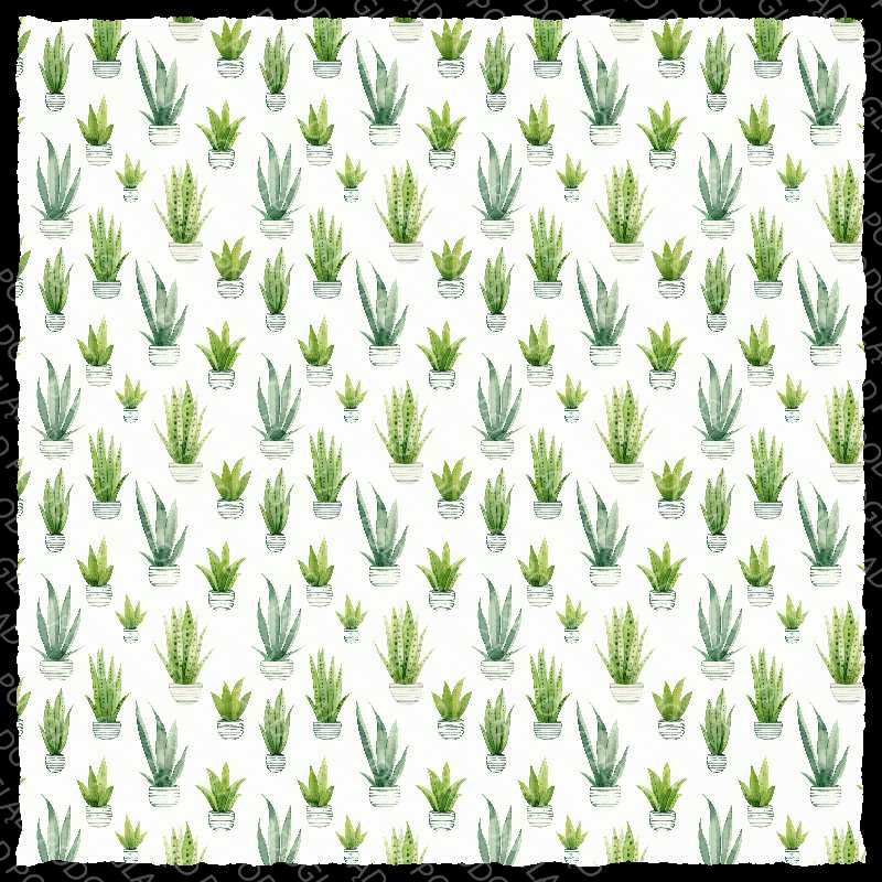 Snake Plant